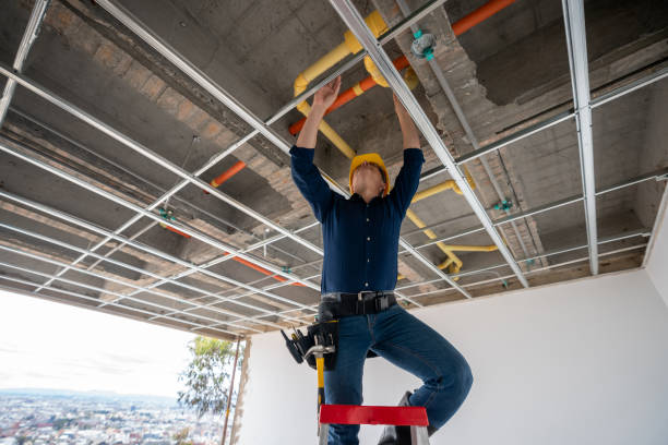 Best Plumbing Repair Near Me  in Brownsville, TN
